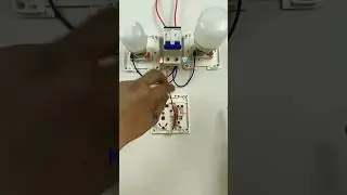 MCB with Switch,Socket and 2 Bulb Connection #shorts