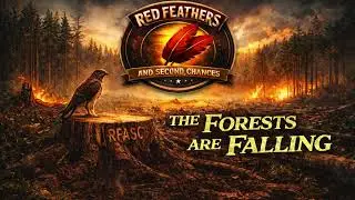 The Forests are Falling (RFASC)