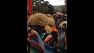 Parachicos