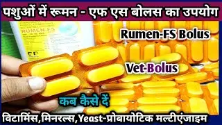 Vet-Bolus:- Rumen-FS||Vitamins-Minerals-Yeast-Probiotic & Rumen Stable Multienzymes Supplements