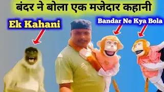 बंदर की कॉमेडी वीडियो || Comedian monkey puppet || Funny Ventriloquist Mr Kalu Bandar Comedy Video
