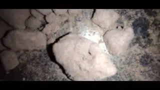 Candy cash dry sift hash
