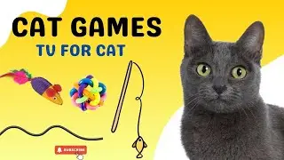 Game For Cats | Bug Smash Game for Cats | Interactive Screen Fun !