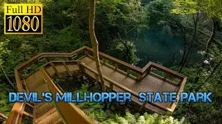 Hiking around the Devil's Millhopper in Gainesville, Florida -- Devil's Millhopper Geological Park