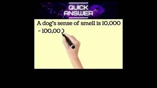 How many times is a dog's sense of smell compared to humans?