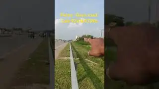 Plot in Patna/plot in parsa/property in parsa station/house for sale #patna #parsa #plots