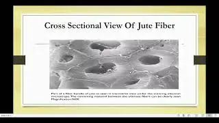 Textile Fibers Lecture ( Jute Fiber )