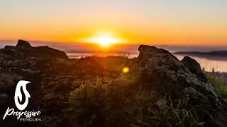 Furkan Senol & Roald Velden - Lepestok (Original Mix)