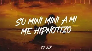 SU MINI MINI A MI ME HIPNOTIZO (GUARACHA) &bull; DJ ALX