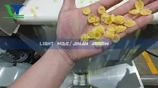 Corn flakes food process line running in our customer factory