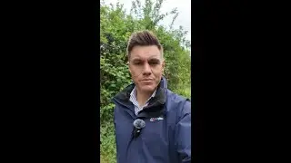 What To Do If Your Survey Finds Something