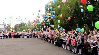 Красиво, запускают воздушные шарики в небо