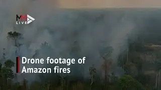 Drone footage shows true nature of Amazon fire damage