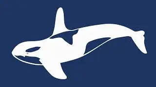 Orca Description: Sharing Culture through the Natural World