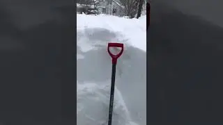 Meanwhile in Nova Scotia Canada... 5 ft of snow have come down in the past 24hrs! 🎥: @chuckwrathall