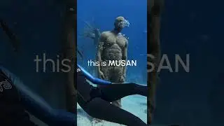 What is this place? This is MUSAN!
