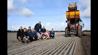 Bloemencorso Bollenstreek - Bollenplanten