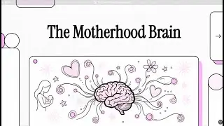 How Reproductive Hormones Impact Mood & Brian Function