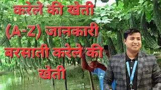 करेले की machan wali kheti #agriculture #farming #bittergourd #naturalfarming