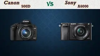 Canon 500D vs Sony A6000 - Comparison, Specifications, Price