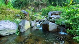 Water Sounds for Sleeping and Entering Deep Sleep Using Calm Continuous Water Ambience