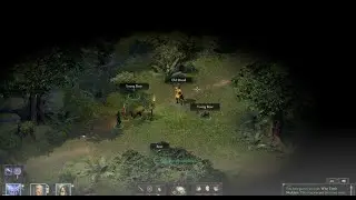 Pillars Of Eternity II: Deadfire - Upoho Wharo Woods / Maje Island / Old Druid Helping Me