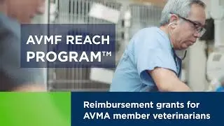 Advancing veterinary medicine together: A message from Dr. Heather Case