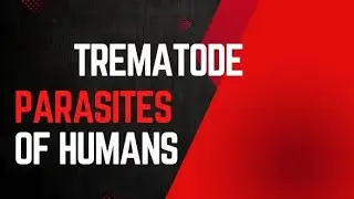 #Trematode parasite of human #chinese liver fluke #Sheep liver fluke #blood flukes