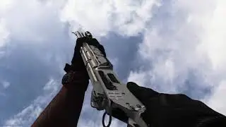 COD MW - MK2 Carbine (Snowy Crag) Inspect and Reload Animations