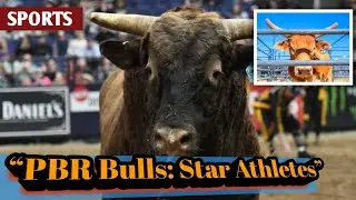 From Training to Retirement: How PBR&rsquo;s Bucking Bulls Live Like Star Athletes