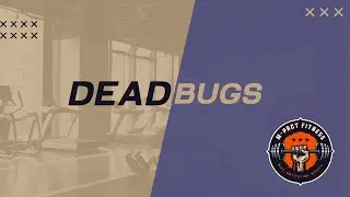 Deadbugs