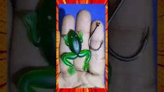 How to put Fishing bait #shorts #fishing #tutorial #mancing