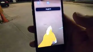 Chasing Money: Playing Dogemon Go App