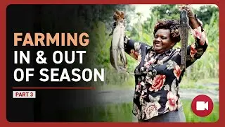 Farming In & Out of Season Pt3 Piped Water Infrastructure Increase Farmers Income