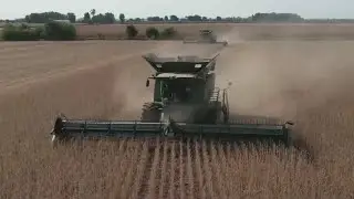 Trump tariffs: U.S. soybean exports drop; furniture industry expecting success
