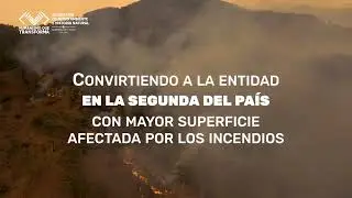 &iexcl;Evita el uso del fuego!