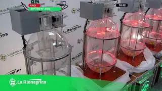 La Vespertina - Sorteo N&deg; 9072/ 10-01-26- LOTERIA DE RIO NEGRO-En Vivo