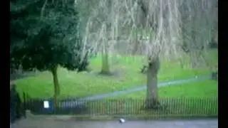 winckley square
