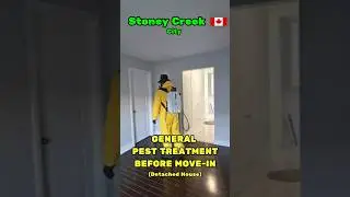 How to Treat a House for Pests | 4 Key Steps Before Move‑In Ontario GTA #moveinready  #pestcontrol