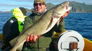 Two-Bedroom Holiday home in Gravdal 1 - Gravdal - Norway