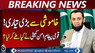 Paigham-e-Pakistan | National Peace Narrative | Counter Extremism Framework - Aaj Pakistan News