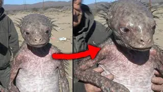 CREEPY Viral Videos Even Skeptics Are Struggling To Explain