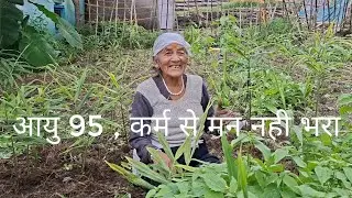 In harmony with the weather - Village Sainamanur - Uttarakhand.