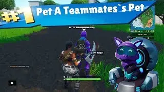 FORTNITE PET A Teammate`s Pet challenge week 7