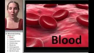 Blood 1- Intro