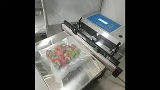 MegaVac Table Top Retractable Nozzle Vacuum Sealer MVS 4510K M