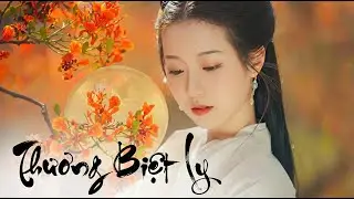 Nhạc Hoa Lời Việt Hay Nhất | Giai Điệu Hoa – Lời Việt Đầy Cảm Xúc