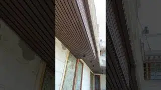 exterior louwer contact For Purchasing 8851307560 #shortsvideo