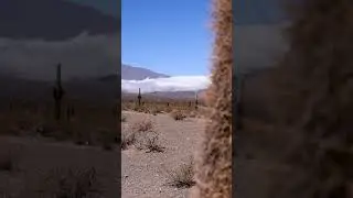 Recta del Tin Tin, Salta