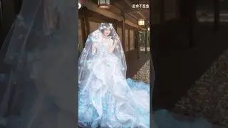 Elegant Butterfly Fantasy Wedding Dress
